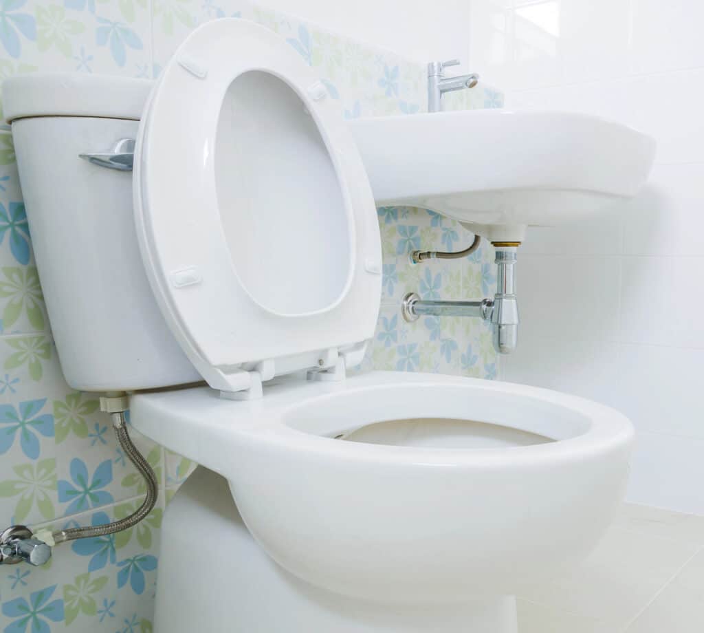 Items You Should Never Flush Down A Toilet